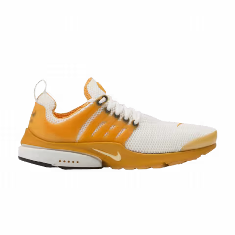 Nike Air Presto 'Orange Monk'