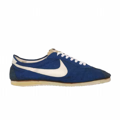 Nike Wayne Wells Trainer 'Finland Blue'