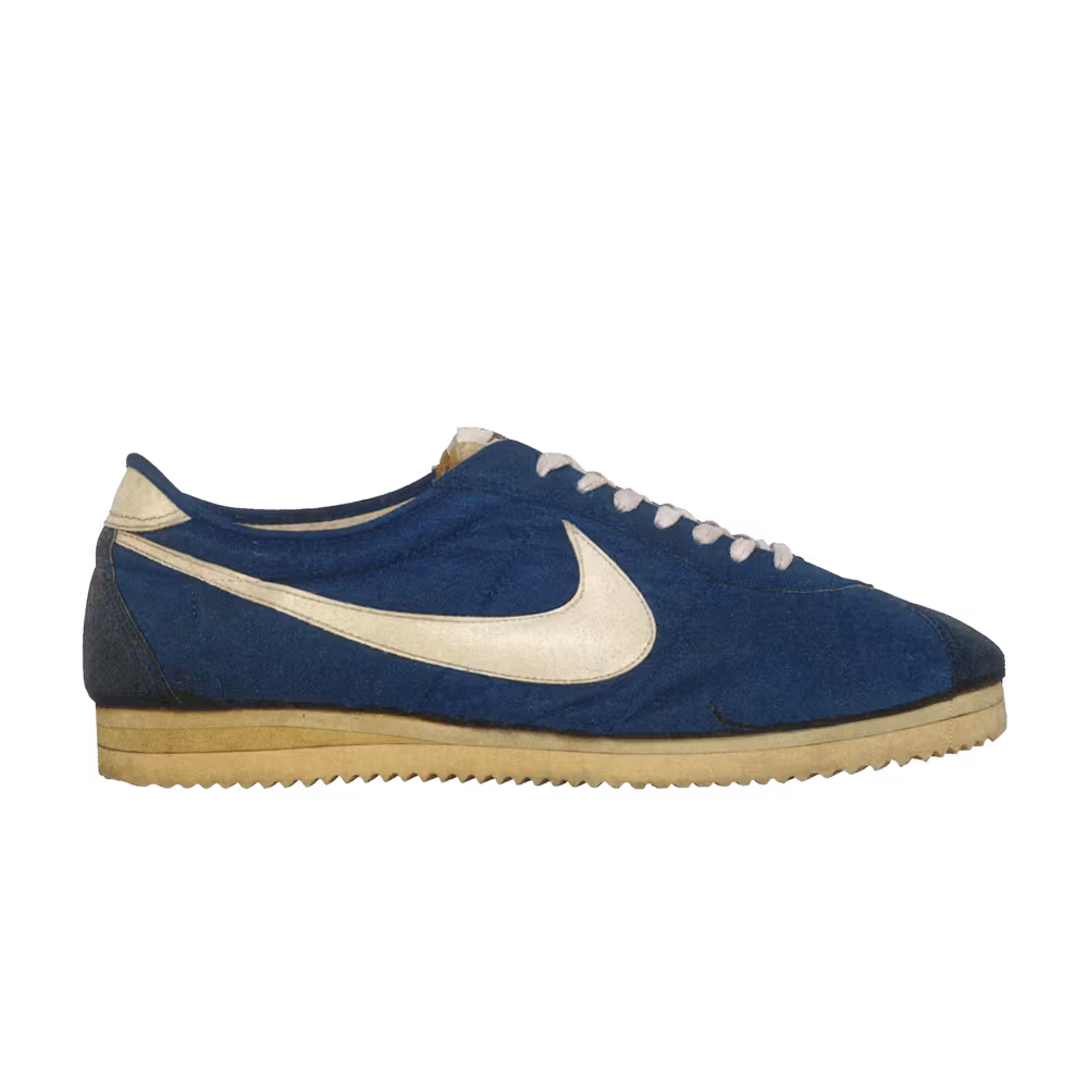 Nike Wayne Wells Trainer Blue