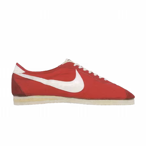 Nike Wayne Wells Trainer 'Kenya Red'