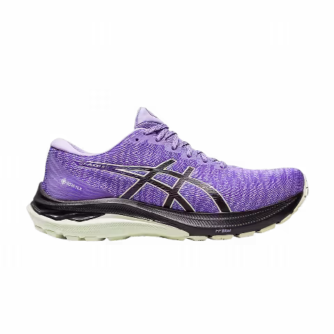 Asics Wmns GT 2000 11 GORE-TEX 'Digital Violet Black'