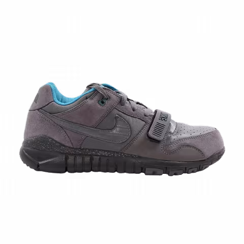 Nike Trainer Dunk Low 'Cool Grey'