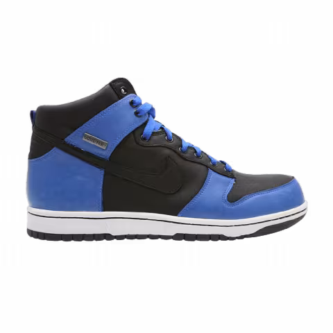 Nike Dunk High Premium Gtx