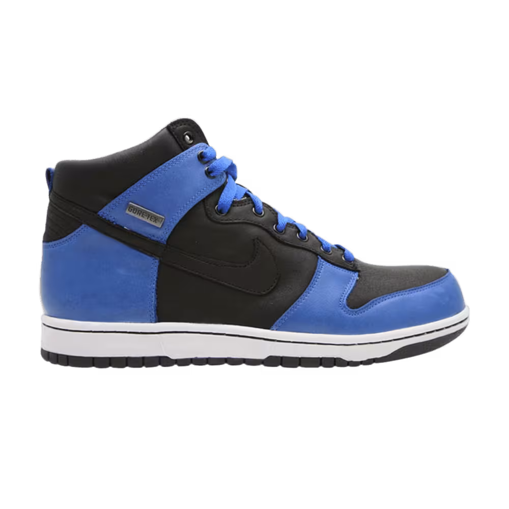 Nike Dunk High Premium Gtx