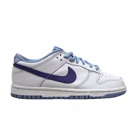 Nike Dunk Low GS 'Grape Cooler'