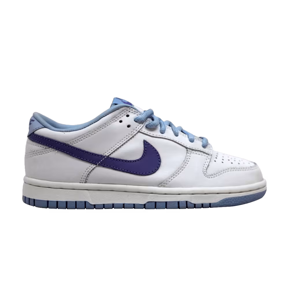 Nike Dunk Low GS Grape Cooler