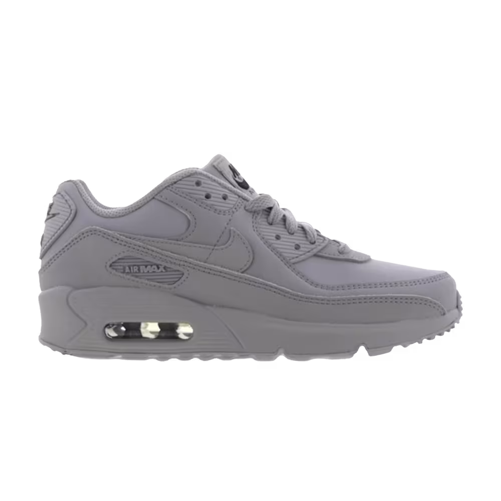 Nike Air Max 90 Leather GS Wolf Grey