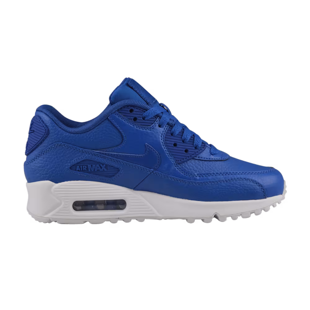 Nike Air Max 90 LTR GS