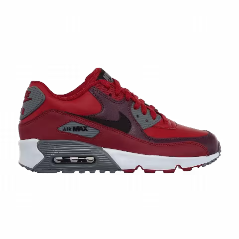 Nike Air Max 90 LTR GS