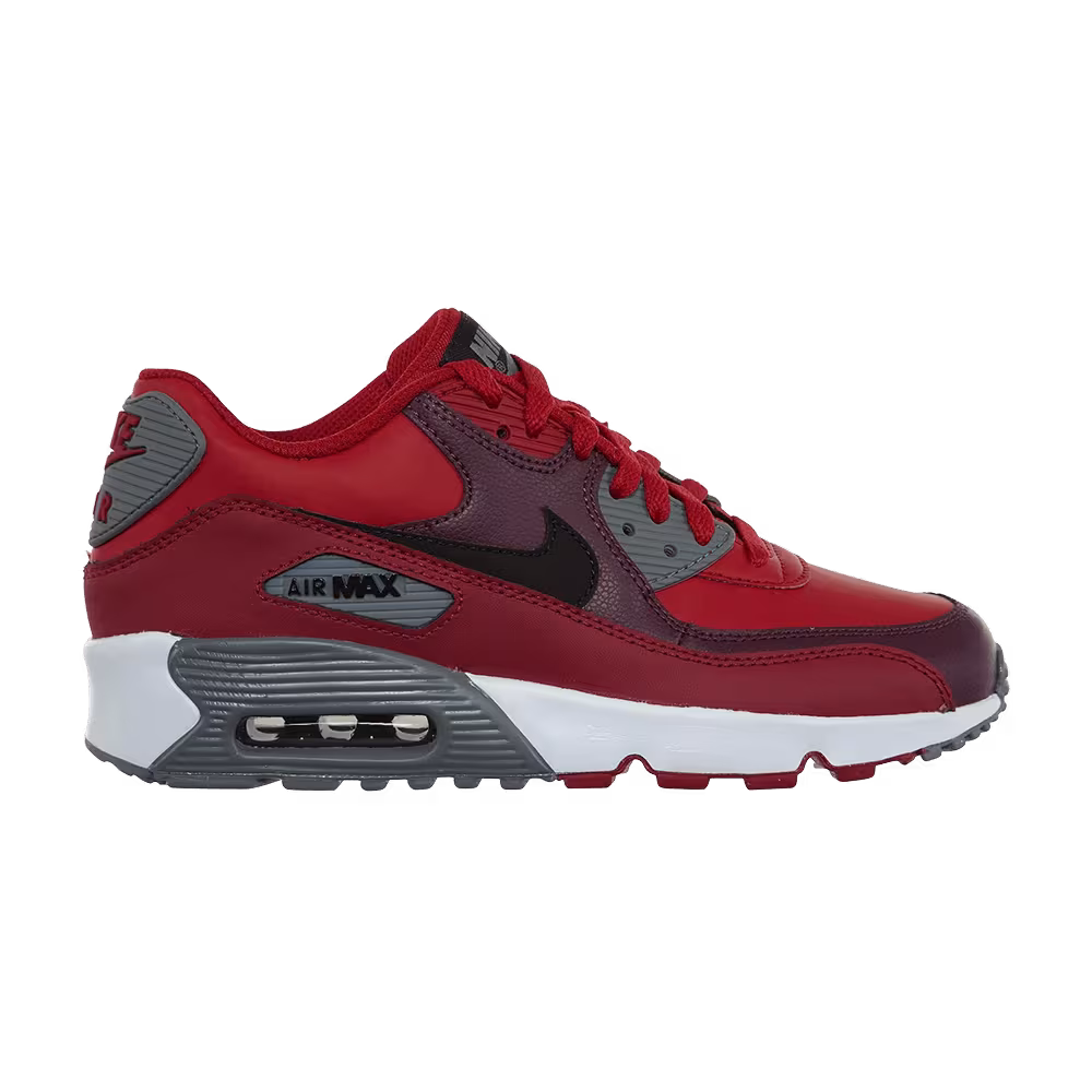 Nike Air Max 90 LTR GS