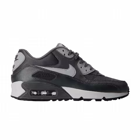 Nike Wmns Air Max 90 Essential 'Dark Grey Anthracite'