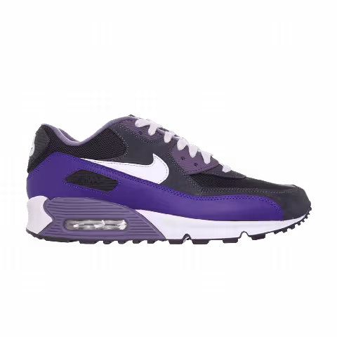 Nike Wmns Air Max 90 'Black Court Purple'