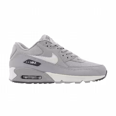 Nike Wmns Air Max 90 'Wolf Grey'