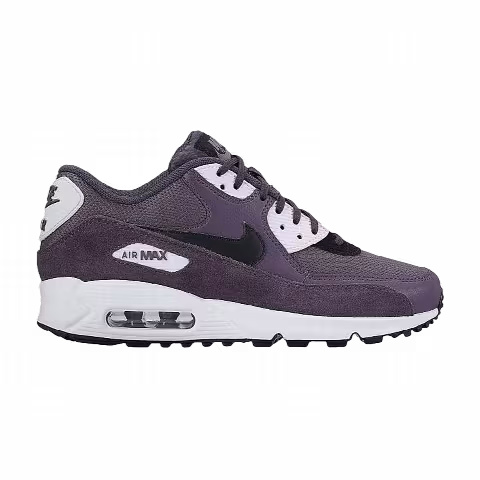 Nike Wmns Air Max 90 'Dark Raisin'