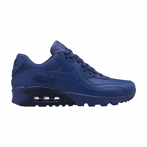Nike Wmns Air Max 90 Pinnacle