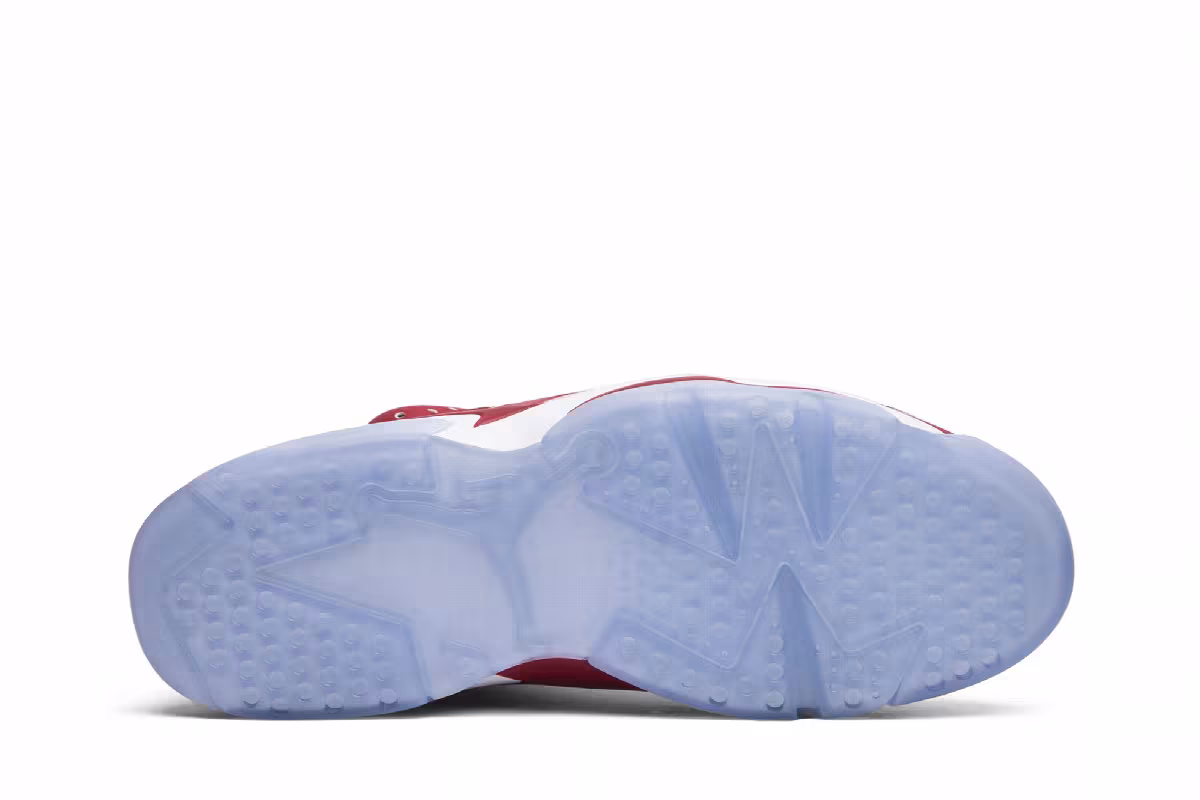 Air Jordan 6 Slam Dunk, view 5