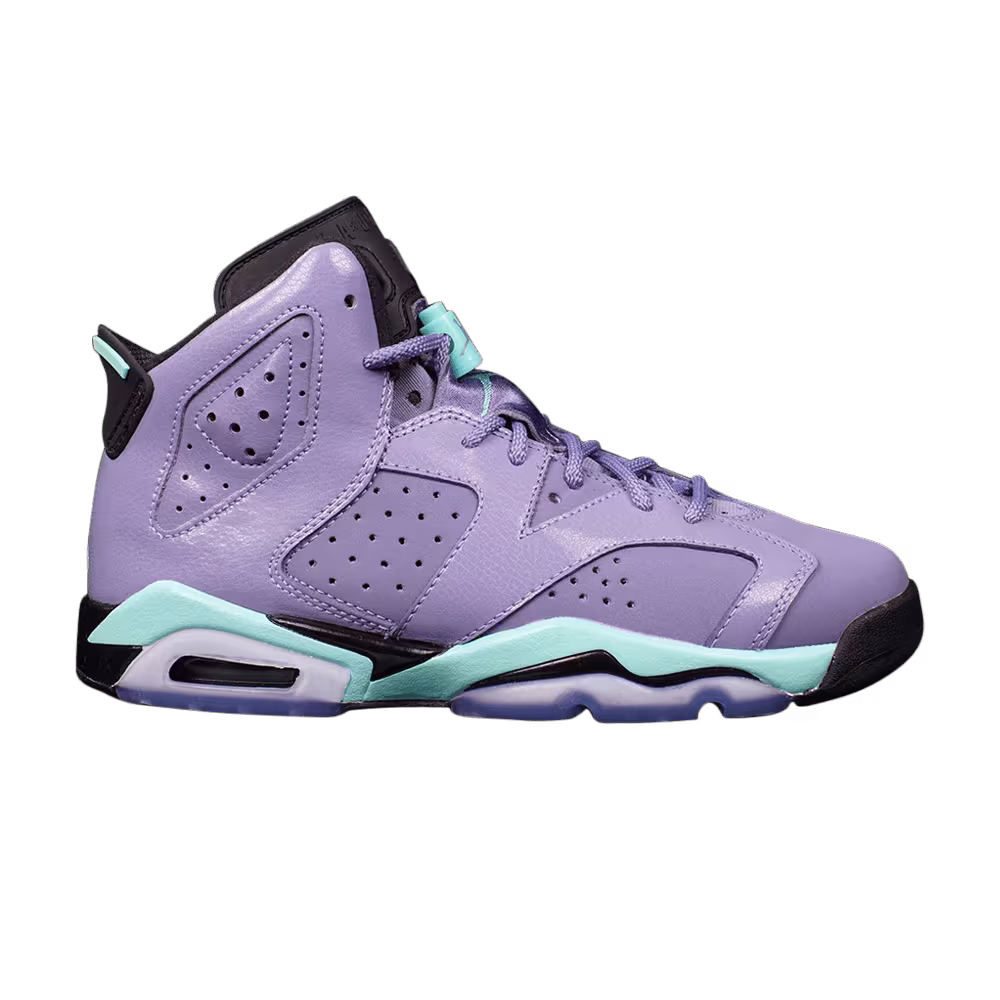 Air Jordan 6 GG Iron Purple