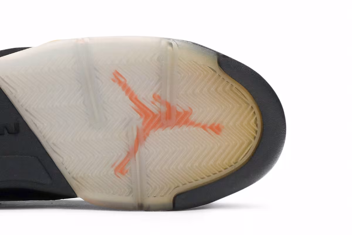Air Jordan 5 GG Floridian, view 6