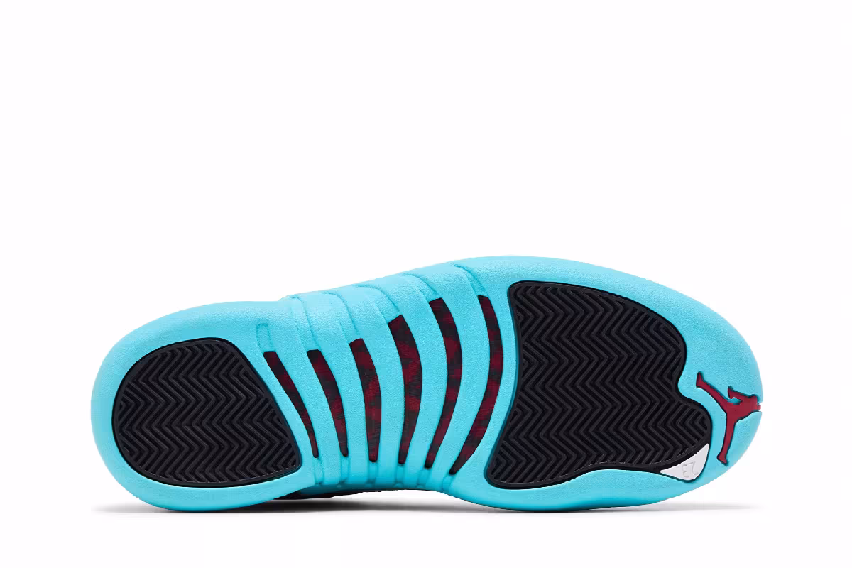 Air Jordan 12 gamma blue, view 5