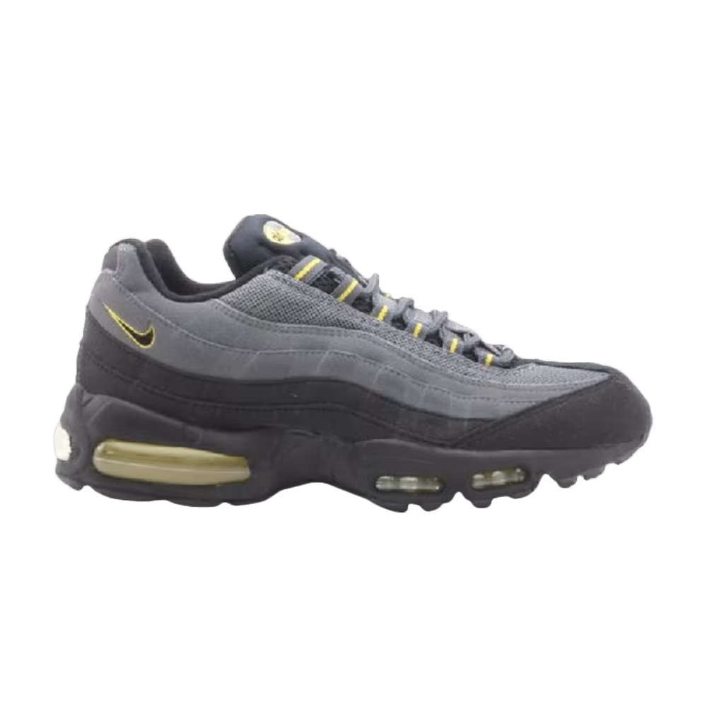 Nike Air Max 95 asia exclusive