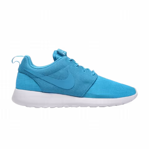 Nike Roshe One