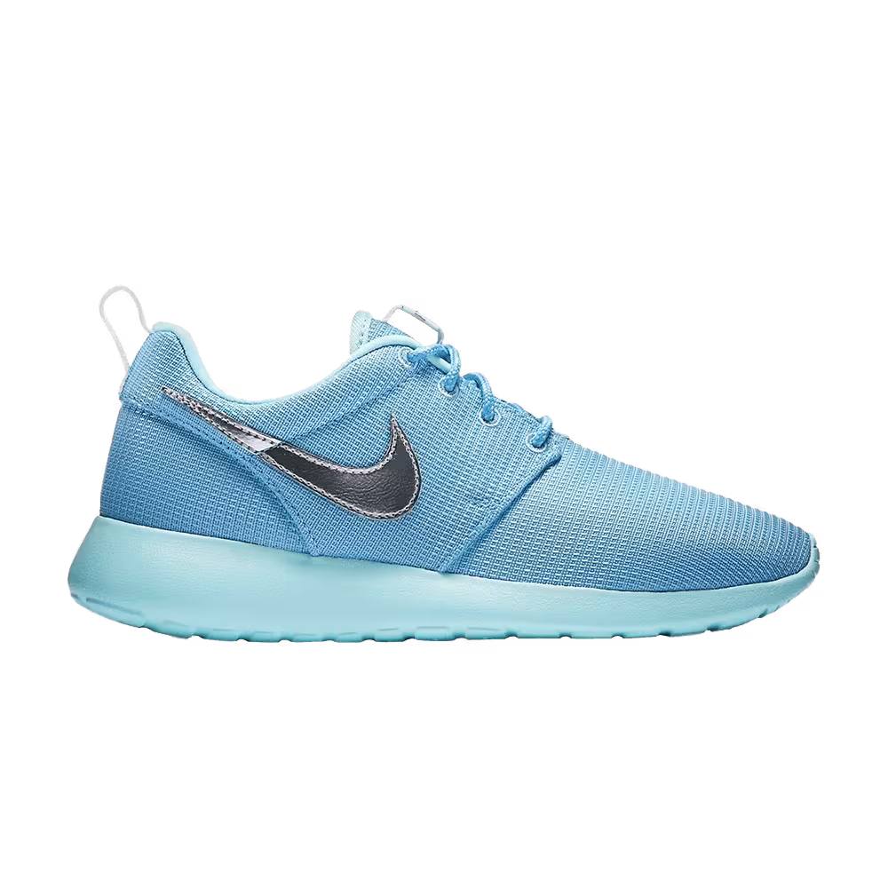 Nike Roshe One GS Lakeside