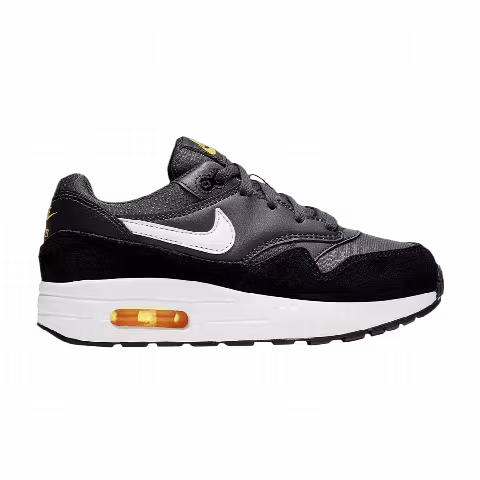 Nike Air Max 1 PS 'Anthracite'