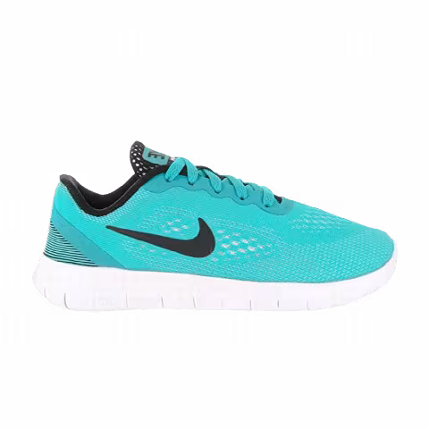 Nike Free Run PS 'Gamma Blue'
