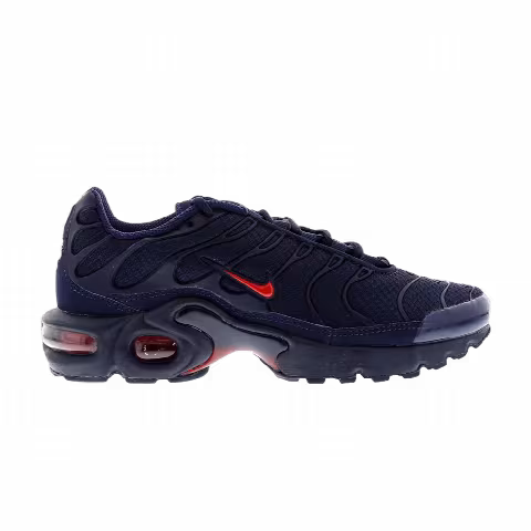 Nike Air Max Plus GS 'Midnight Navy Challenge Red'
