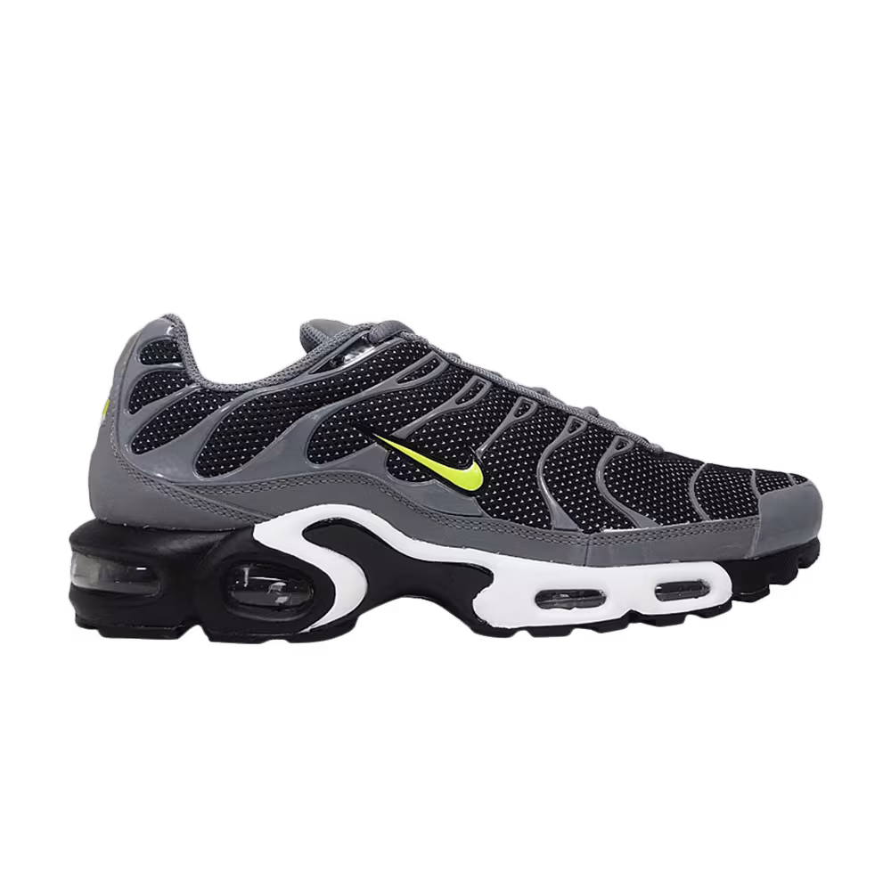 Nike Air Max Plus TN Cool Grey