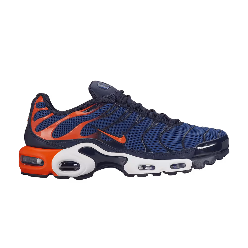 Nike Air Max Plus