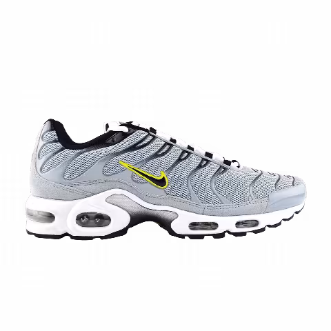 Nike Air Max Plus TN 'Wolf Grey'