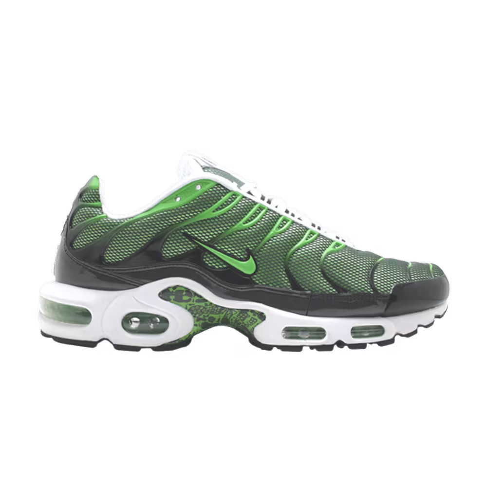 Nike Air Max Plus Rejuvenation