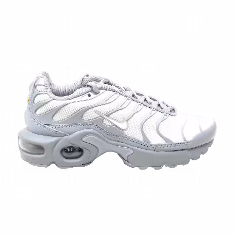 Nike Air Max Plus GS 'Wolf Grey'