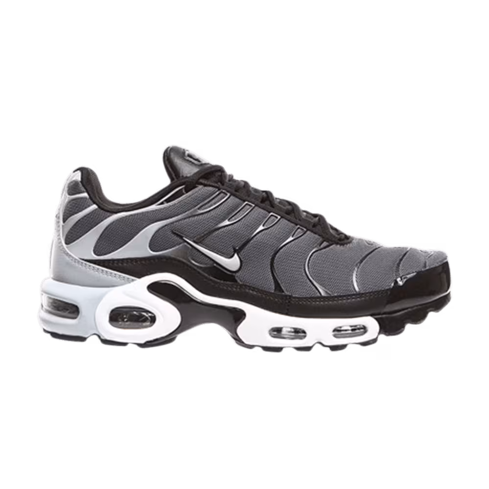 Nike Air Max Plus Dark Grey