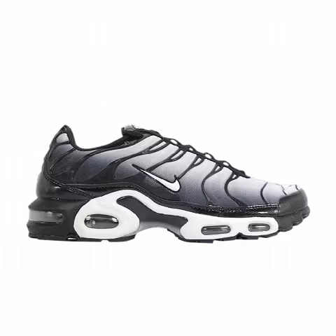 Nike Air Max Plus 'Wolf Grey Black'