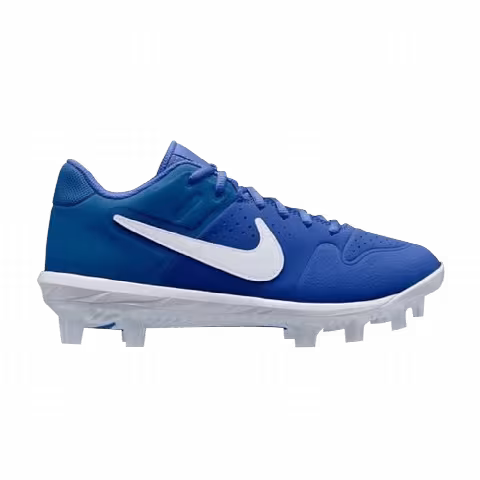 Nike Alpha Huarache Elite 2 Low MCS 'Game Royal'
