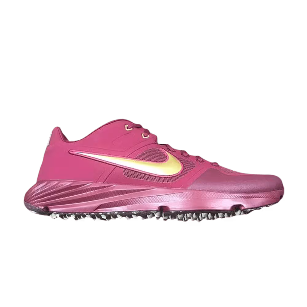 Nike Alpha Huarache Elite 2 Turf Florida State University