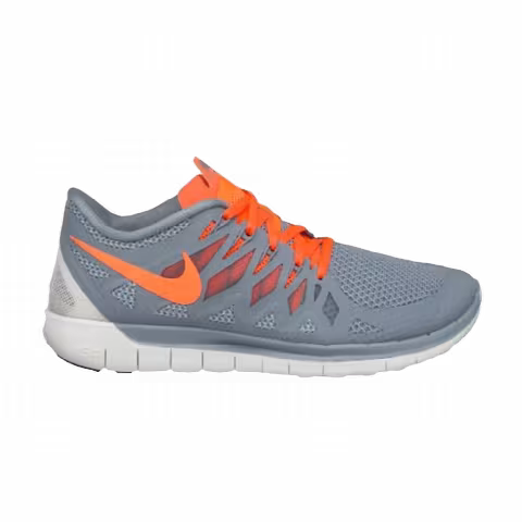 Nike Free 5.0 'Magnet Grey'