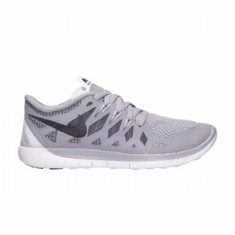 Nike Free 5.0 GS 'Wolf Grey'