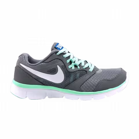 Nike Wmns Flex Experience Run 3 'Grey Mint'