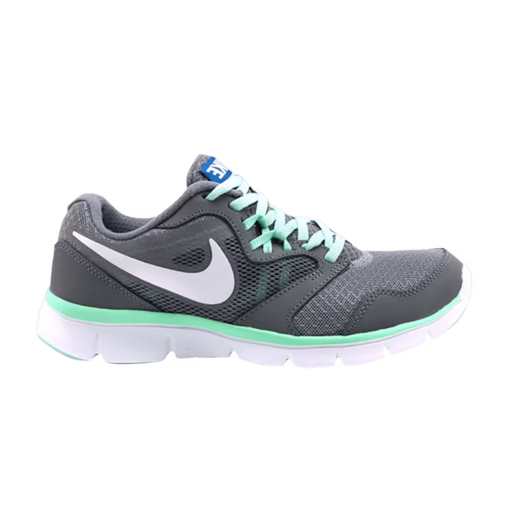 Nike Women's Flex Experience Run 3 Grey Mint