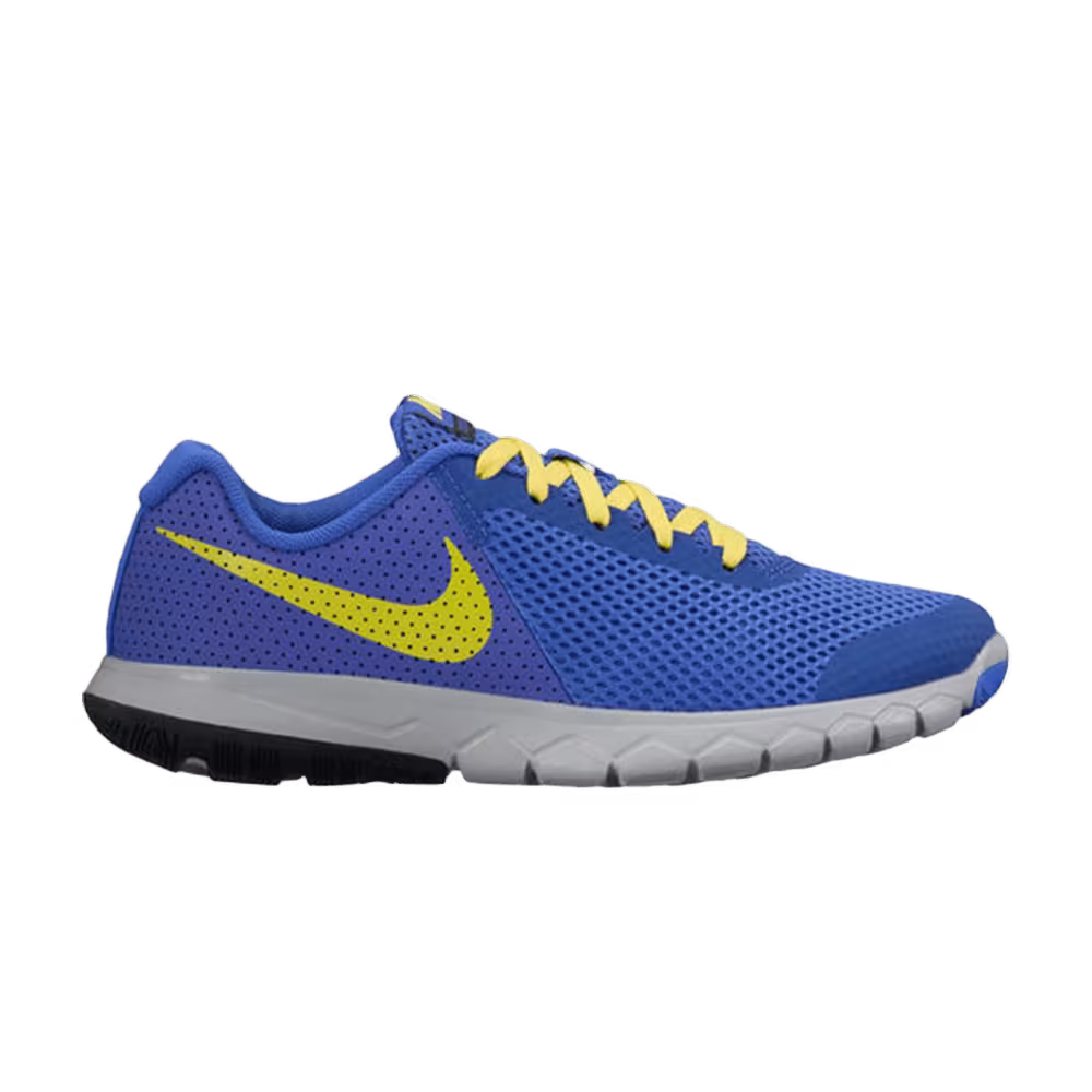 Nike Flex Experience 5 GS Paramount Blue