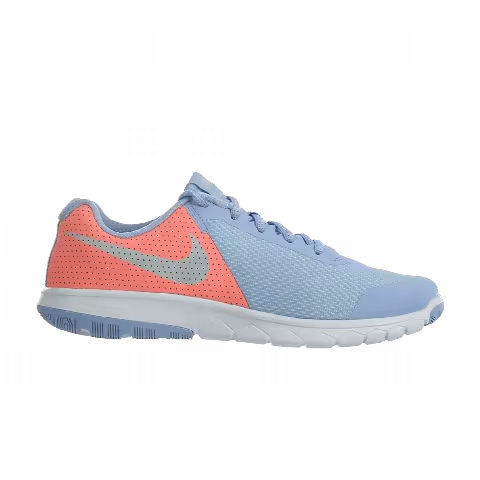 Nike Flex Experience 5 GS 'Aluminum'