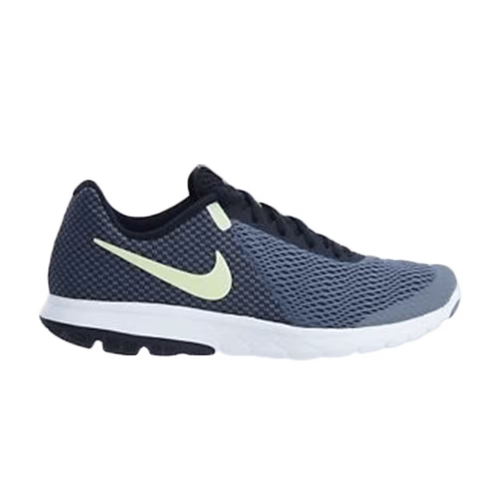 Nike Women's Flex Experience RN 6 Dark Sky Blue