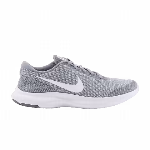Nike Wmns Flex Experience RN 7 'Wolf Grey'