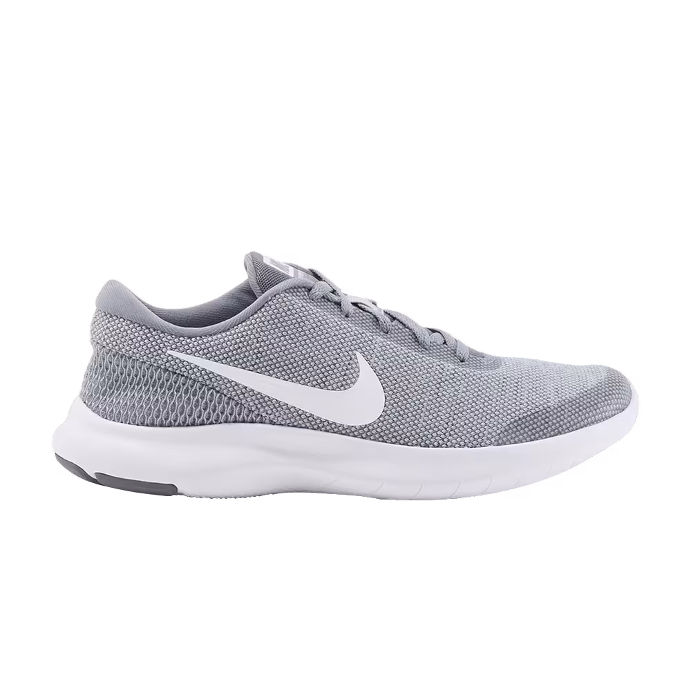 Nike Women's Flex Experience RN 7 Wolf Grey