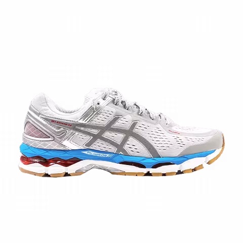 Alife x ASICS Gel Kayano 22 'NYC Marathon'