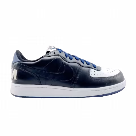 Nike Terminator Low 'Black Blue'