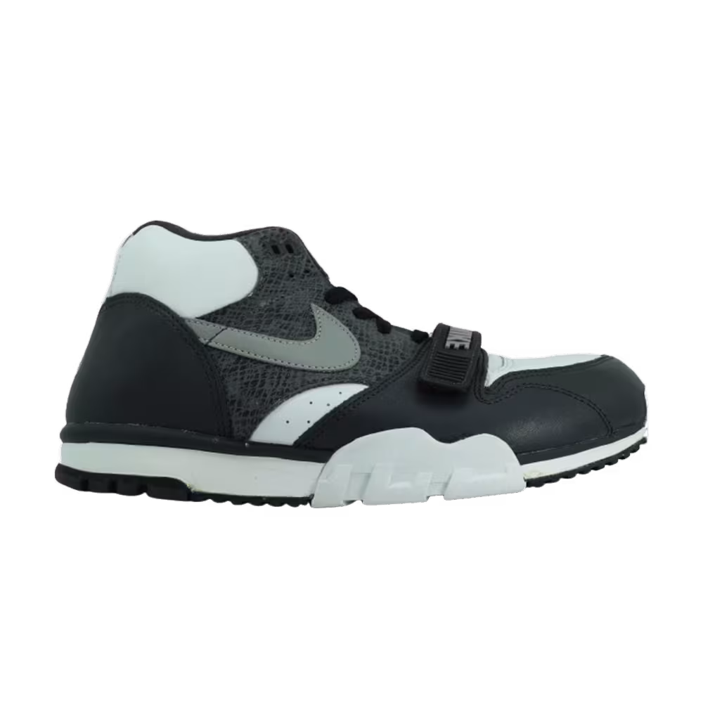 Nike Air Trainer 1 Python